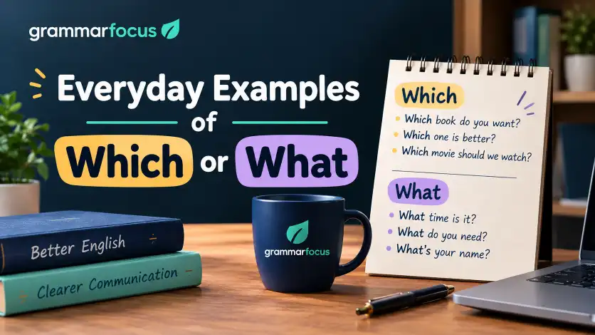 Everyday Examples of Which or What