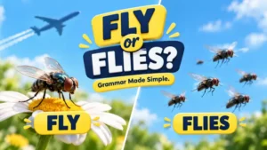 Fly or Flies