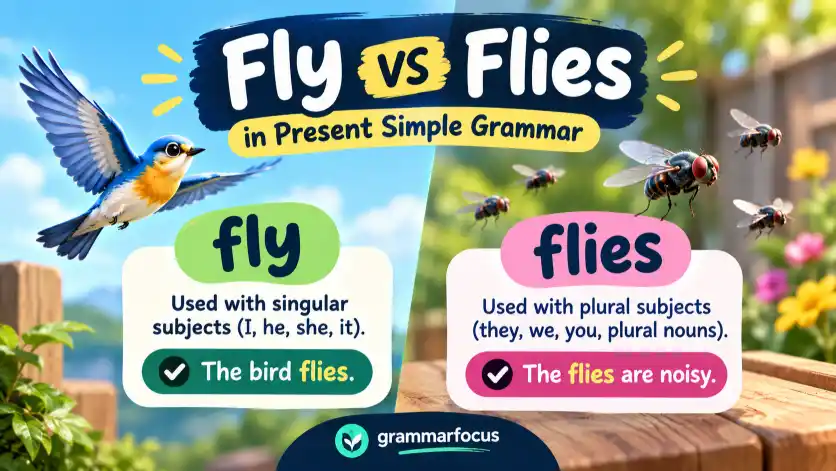 Fly vs Flies in Present Simple Grammar